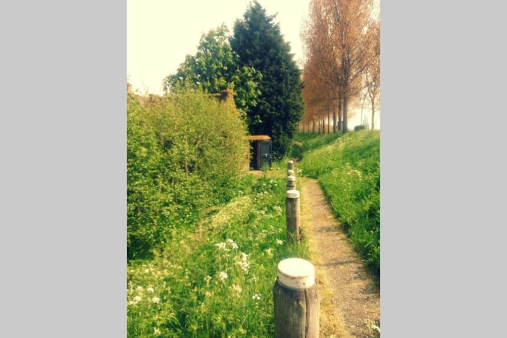 Logeren Op De Thoolse Parel Vakantiehuis Stavenisse 外观 照片