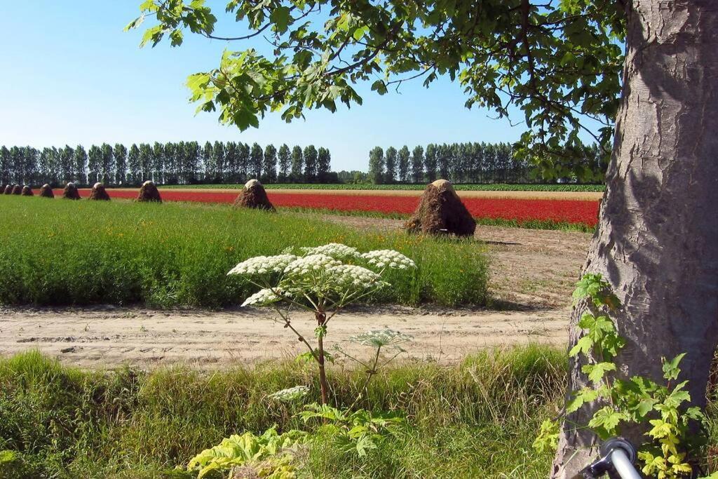 Logeren Op De Thoolse Parel Vakantiehuis Stavenisse 外观 照片