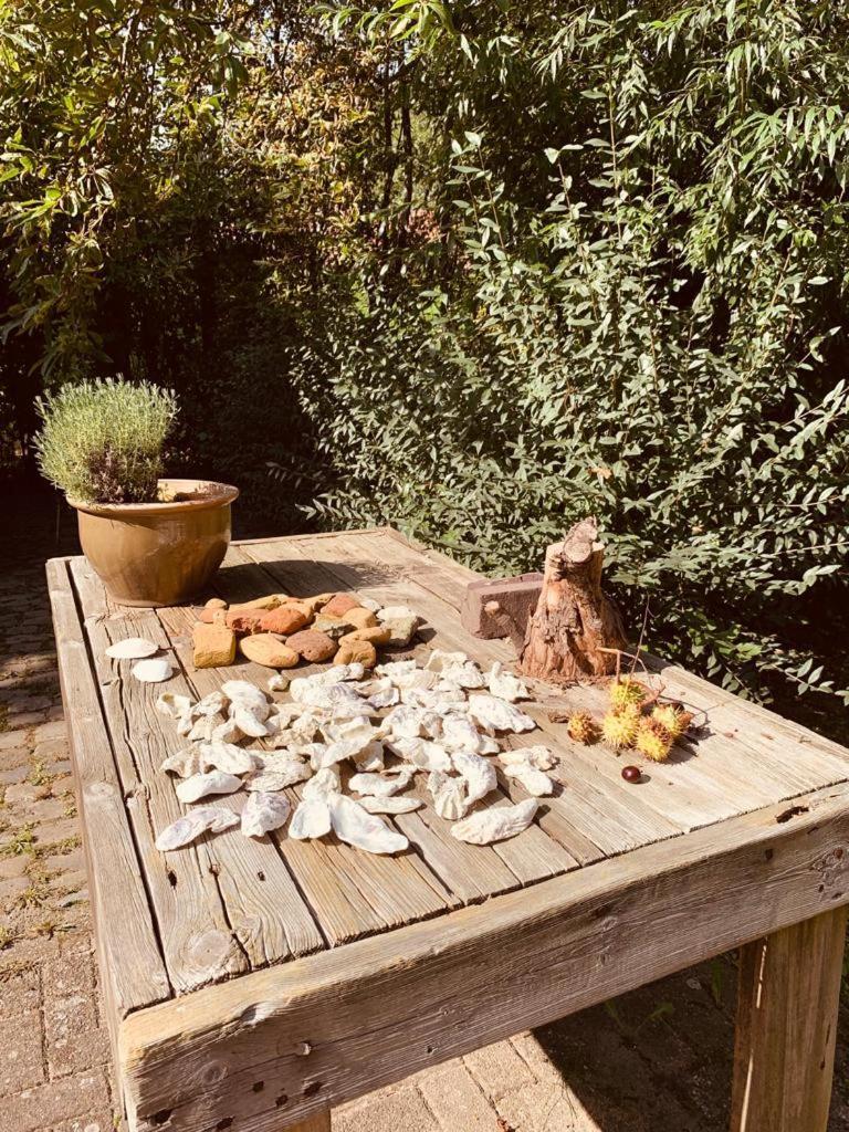 Logeren Op De Thoolse Parel Vakantiehuis Stavenisse 外观 照片